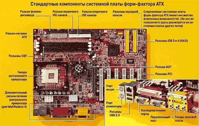 Материнская плата AOPEN ax63 разъемы. Материнская плата NLX форм фактор. Таблица компоненты материнской платы. Схема основных компонентов материнской платы. Компоненты системной платы