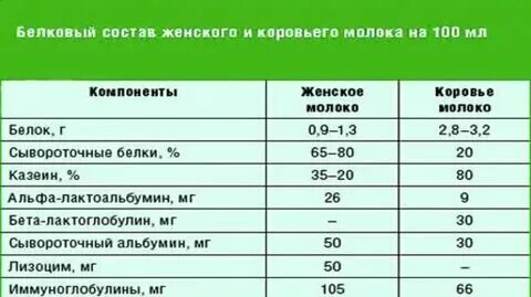 Можно коровам давать огурцы. Можно коровам давать огурцы