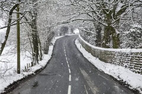 Many snow