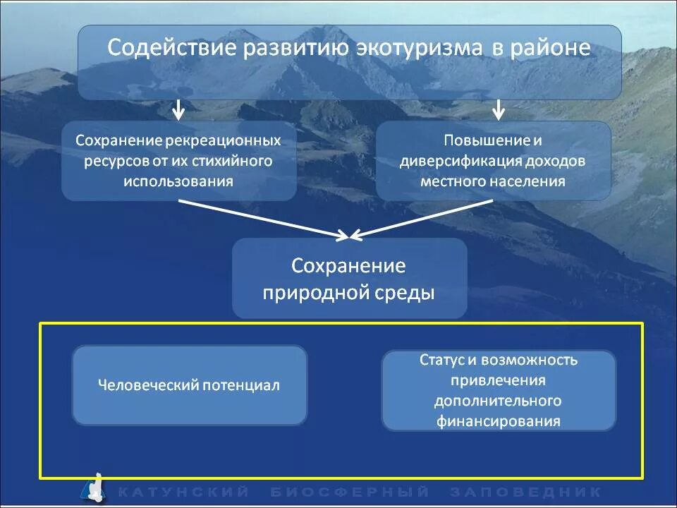 Понятие экологического туризма. Принципы экологического туризма. Экологическое направление туризма. Перспективы развития экологического туризма в России.