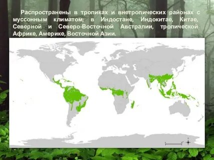 Географическое положение муссонного
