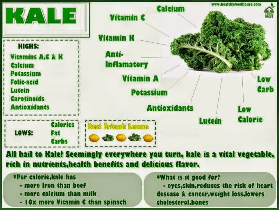 Кемпферол в каких продуктах содержится. Kale витамин с. Кемпферол в продуктах таблица. Кверцетин в продуктах. Kale перевод