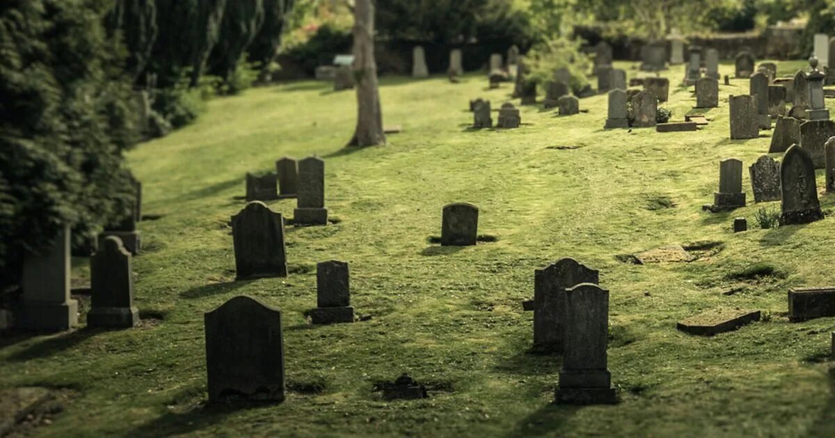 Кладбище в Израиле. Кладбище во сне. Buried Alive Pokemon. Можно ходить на кладбище во время месячных