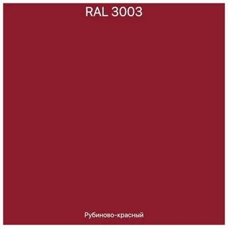 3003