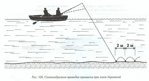 Сеть дорожка