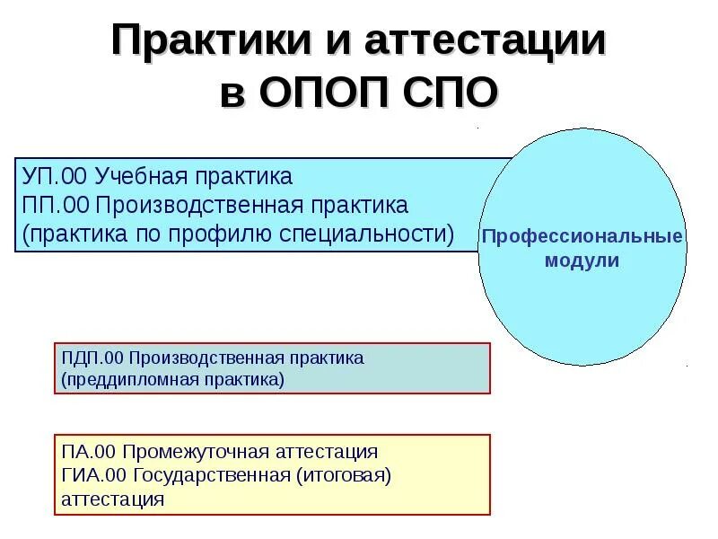 ОПОП СПО. Итоговая оценка по практике. Учебная практика СПО. Производственная практика в условиях ФГОС СПО.