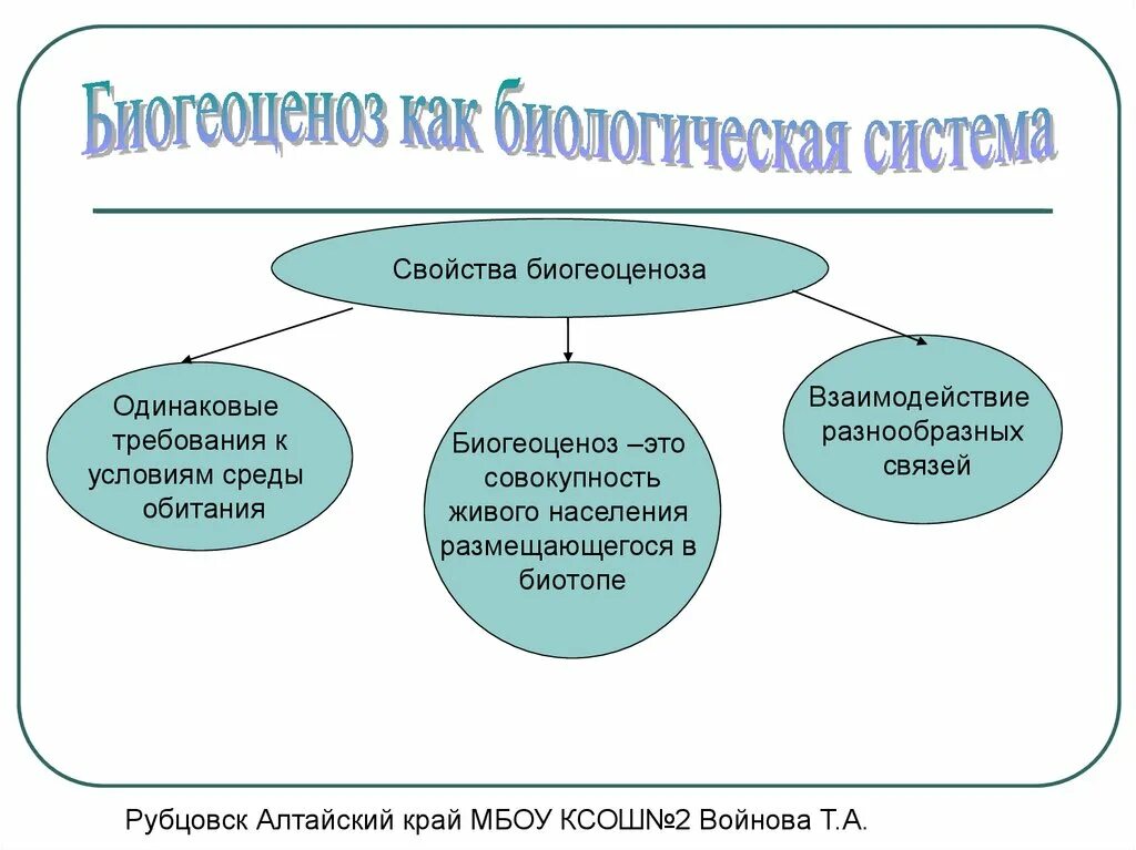 Выберите три признака характерных для биогеоценоза. Характеристика биогеоценоза. Основные свойства биогеоценоза. Структура биогеоценоза схема. Структура биогеоценоза и экосистемы.