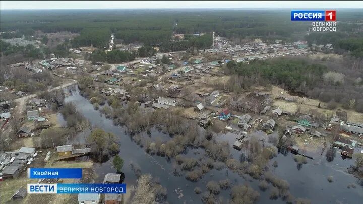 Великий новгород хвойная. Хвойная Новгородская область затопления. Тосно 2023 подтопление. Подтопление в Холынье Новгородской. Паводок в Новгородской области в 2023 Чудово.