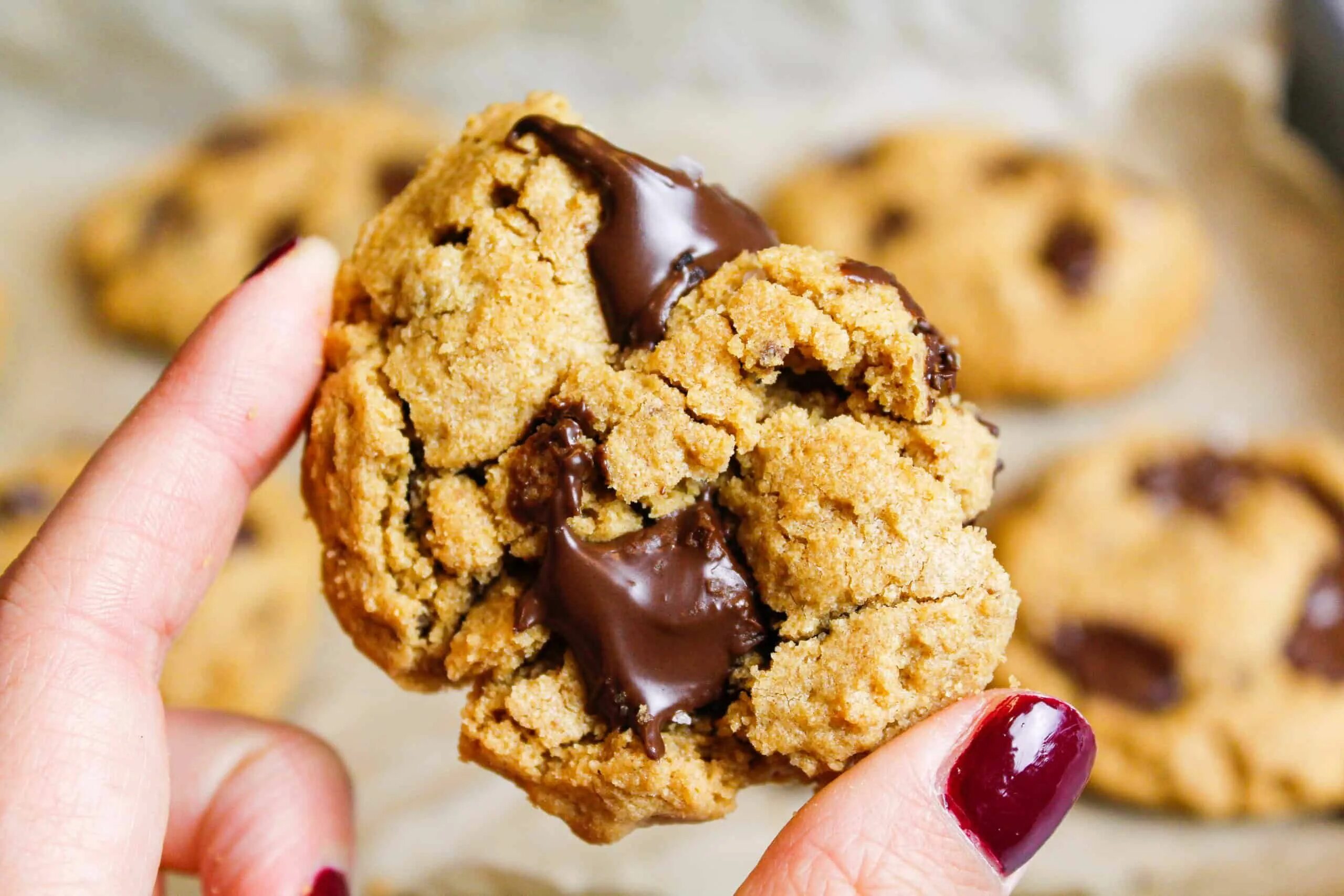 Peanut cookie. Бельгийское печенье. peanut butter cookies. печенье сникерс. европейское печенье рецепт.