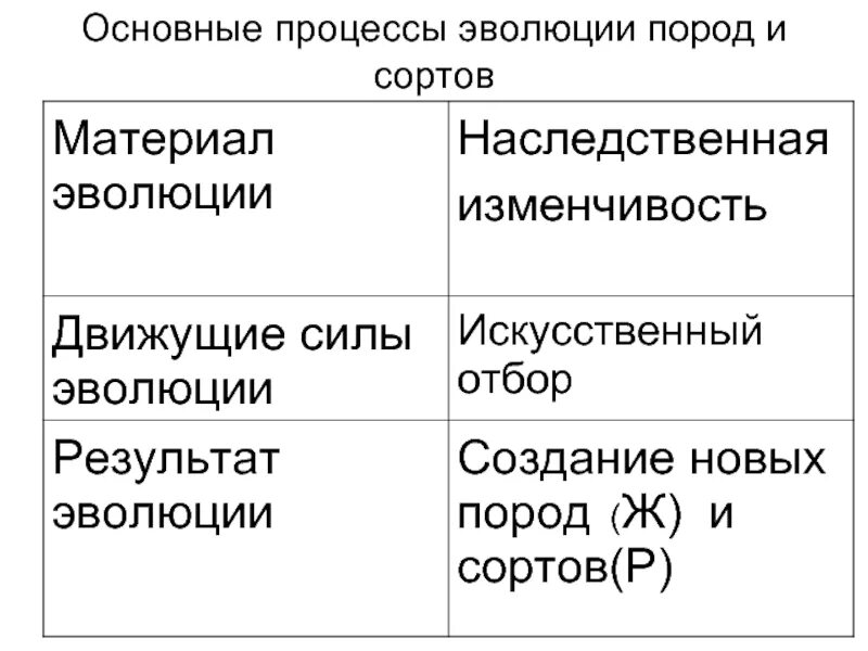 Направленность эволюционного процесса. Эволюция концепций менеджмента. Эволюция процесса производства. Процесс производства. Процесс производства продукции.