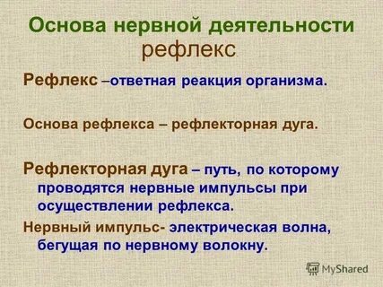Основа инстинкта