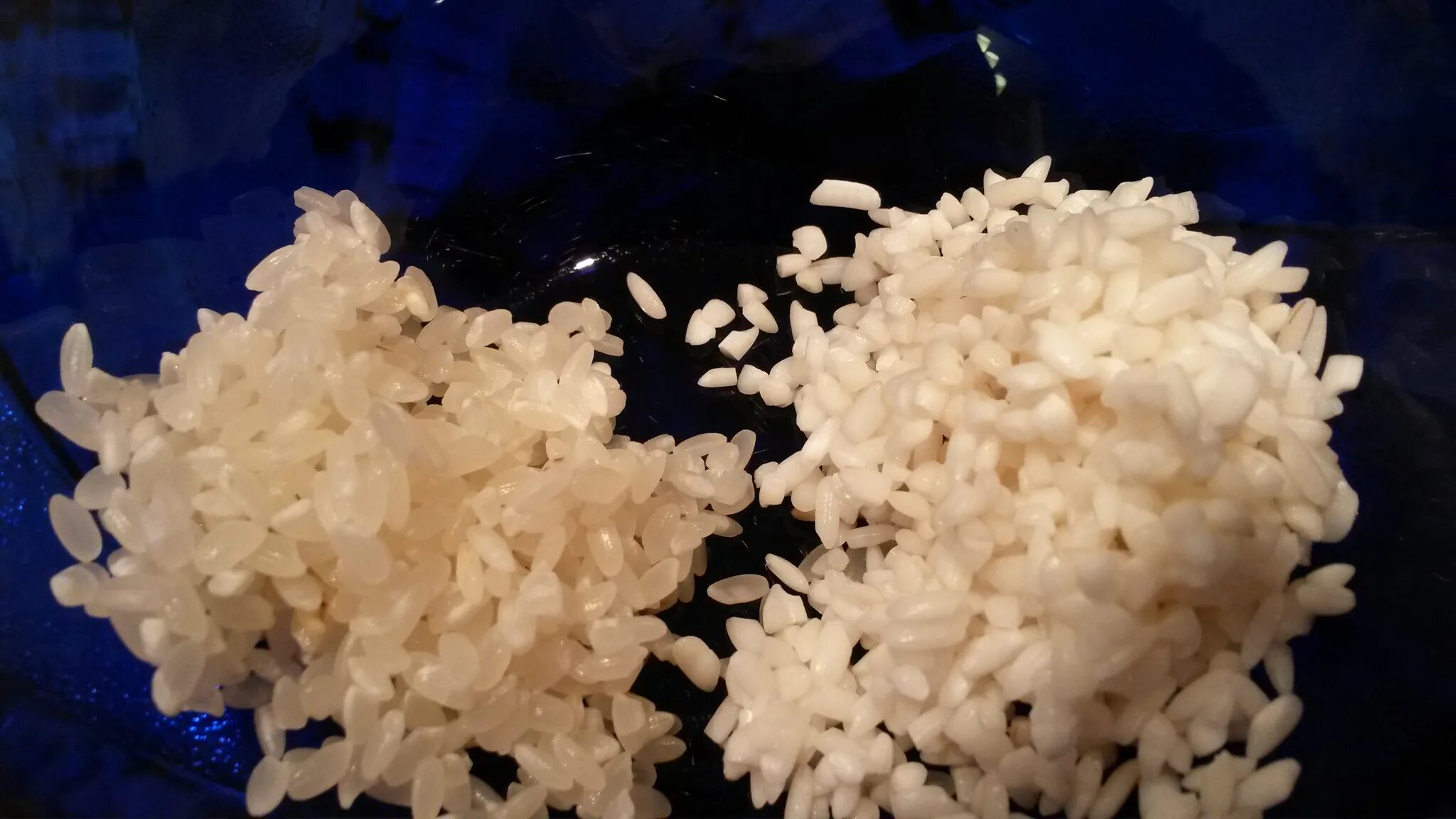 Черные точки на рисе. Личинки белые продолговатые. Маленькие жучки в рисе. Жучки в рисе. Рисовое зернышко.