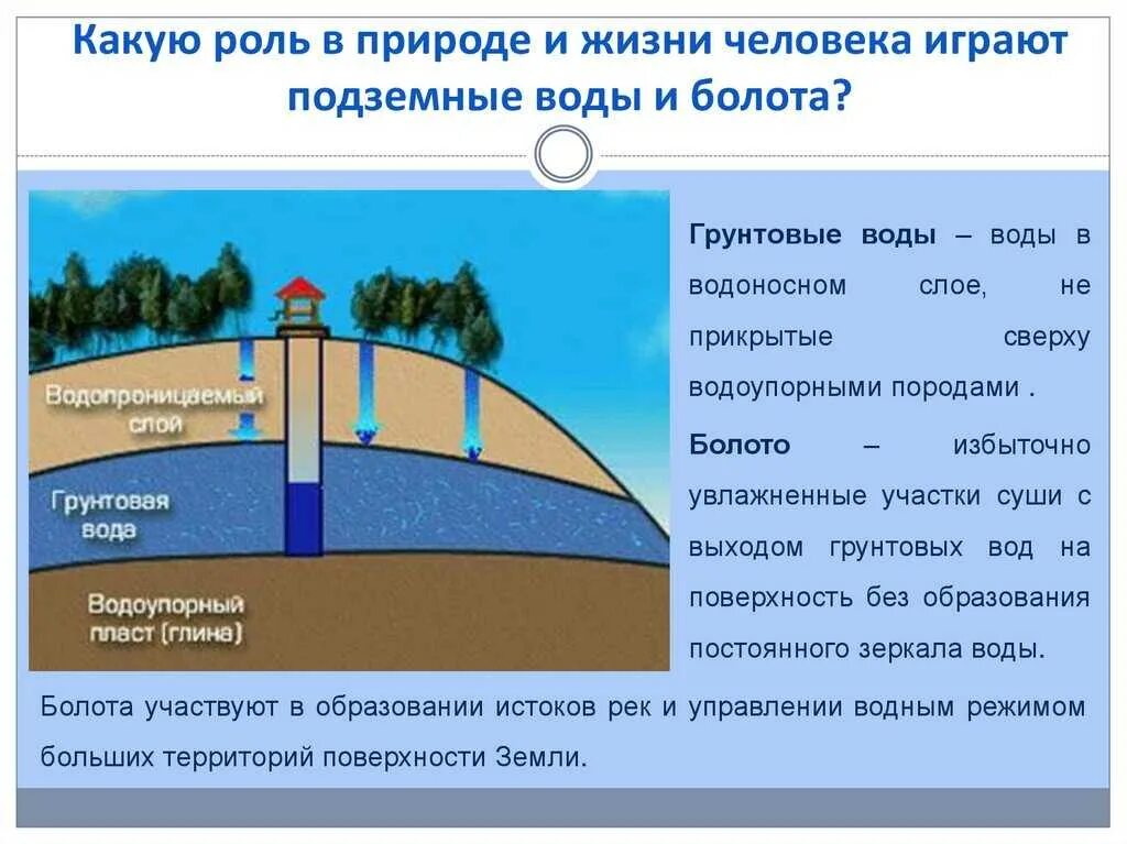 Повышение уровня грунтовых вод нарушающее нормальное. Грунтовые воды в природе. роль подземных вод. роль подземных вод в природе. поль подщемных вод в природе.