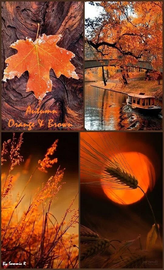 By autumn i