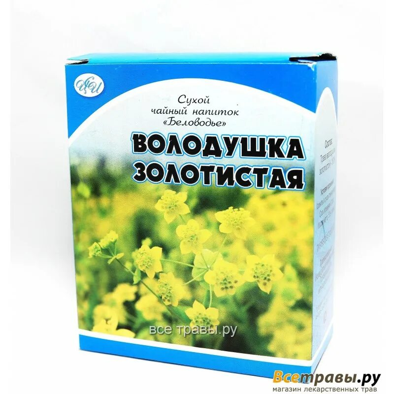 Володушка золотистая применение. Лекра-сэт трава володушка золотистая 50 г. Володушка золотистая. Володушка золотистая трава. Трава володушка в аптеке.