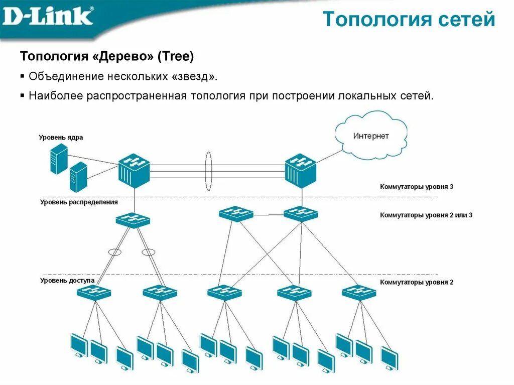 Топология сети. Физическая топология сети. Типовые топологии сетей. Topologiya Setiy v shkola.