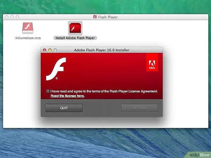 Adobe Flash Player. Установщик Adobe Flash Player. Adobe Flash Player фото. Adobe Flash Player 10.