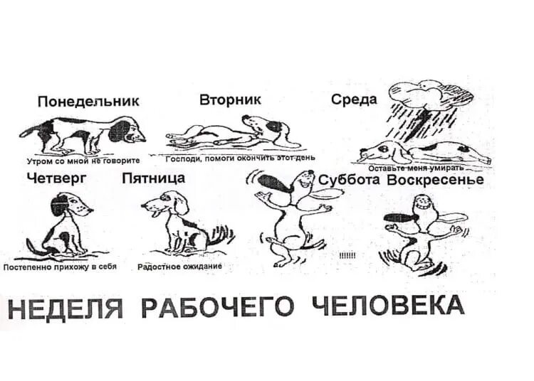 Включи понедельник вторник пятница. Рабочая неделя. Рабочая неделя приколы. Рабочая неделя картинки приколы. Рабочая неделя рисунки.