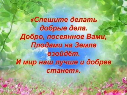 Принцип спешите делать добро выступает примером