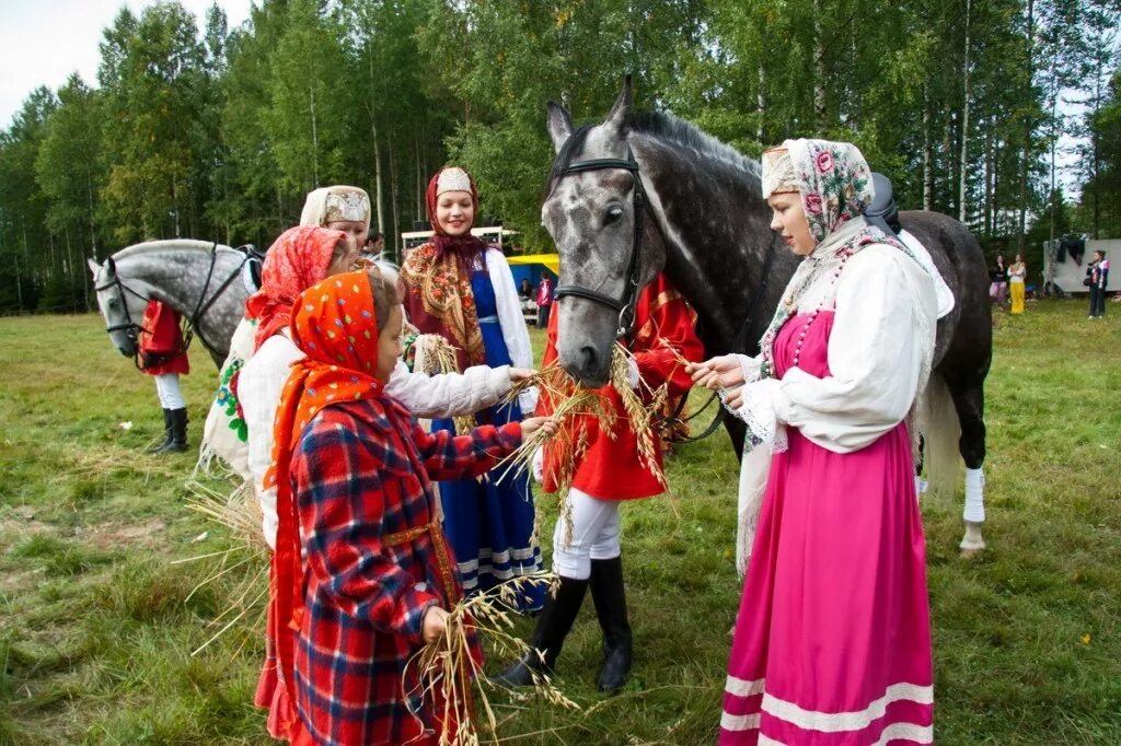 Праздник коня. Праздник с лошадьми. Праздник день лошади. Праздник коня 2024