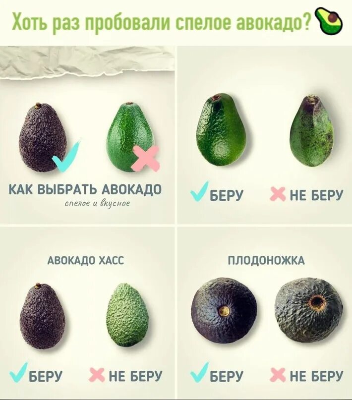 Авокадо - это здоровое и питательное плодоовощное, богатое мононенасыщенными жир
