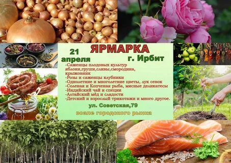 Подслушано в лесном