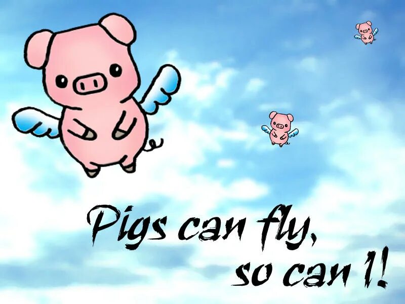 Never fly. Pigs can fly.