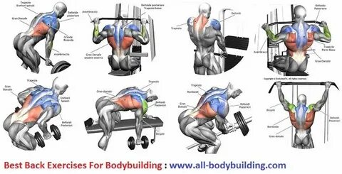 Back exercises