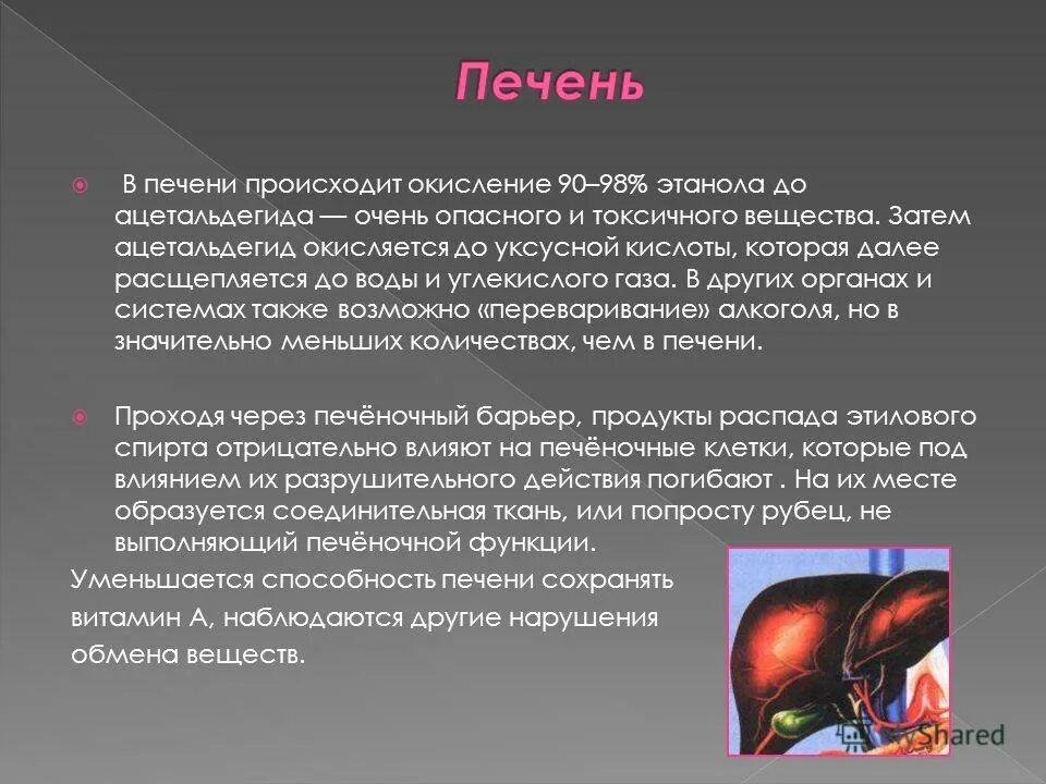 Что происходит в печени. Что происходит в печени. Печень строение и функции кратко. Детоксикация веществ в печени биохимия. Функции печени печени.