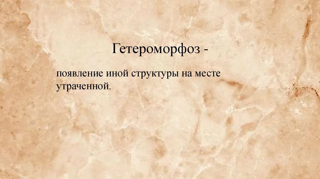 Гипоморфоз регенерация. Атипичная регенерация (гетероморфоз). Гетероморфоз у человека. Гипоморфоз это в биологии.