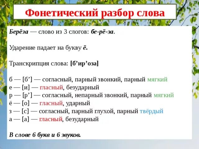 Фонетический разбор слова цветущий. Фонетический разбор слова. Звуковой анализ слова береза. Звуковой разбор слова береза. Как делать фонетический разбор 3 класс.