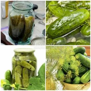 На кухне у любани огурцов с