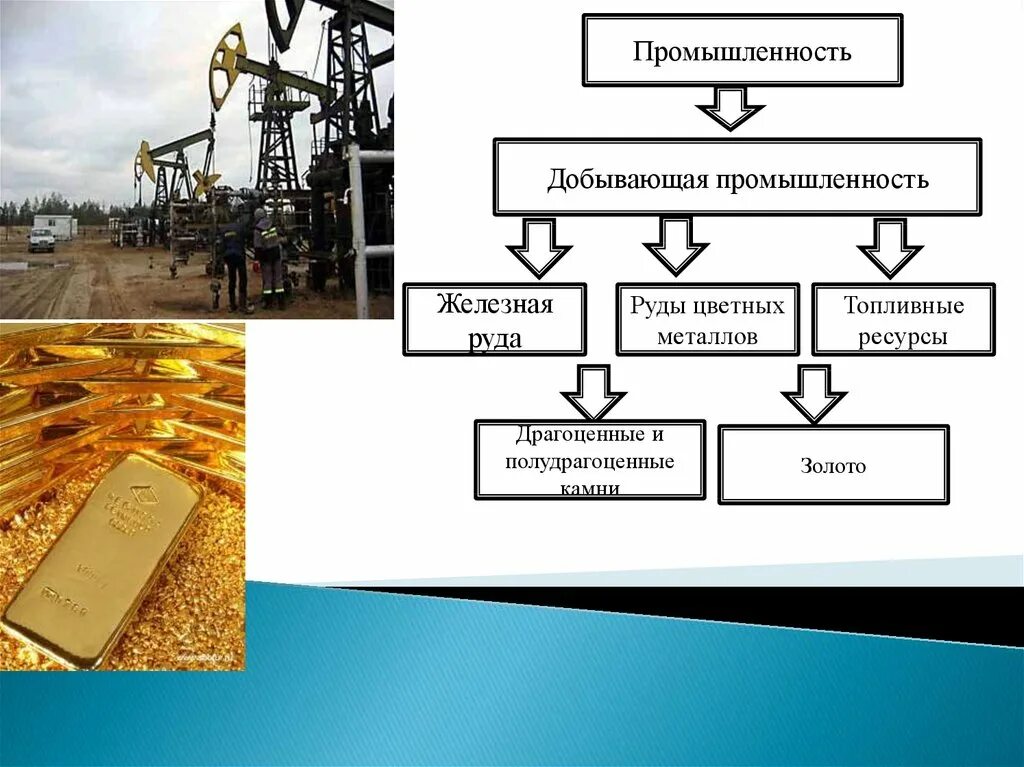 Прогнозируемая ситуация - Издательский дом "Биробиджан"