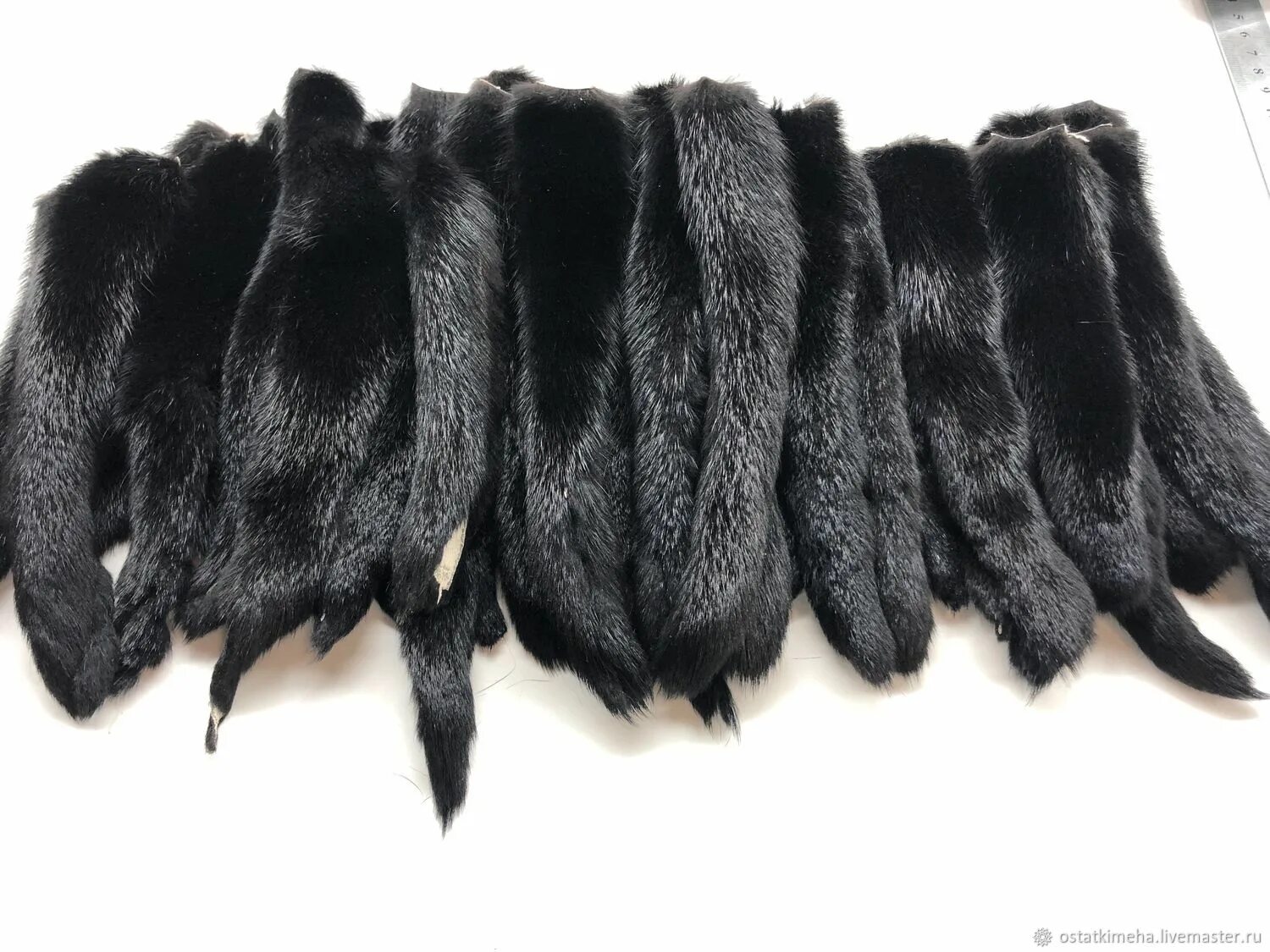 хвост норки. шуба хвостики норки. хвост норки. из хвоста норки. норка белая с черным хвостом.