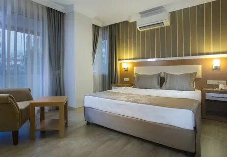 Lonicera city отзывы