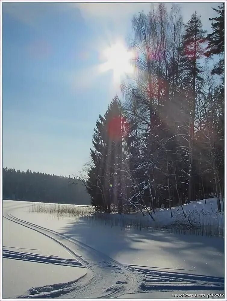 Зимний полдень картинки. Полдень зимой фотографии. Фото освещённости в Салехарде в полдень зимой. Не всегда зима на валдае холодная