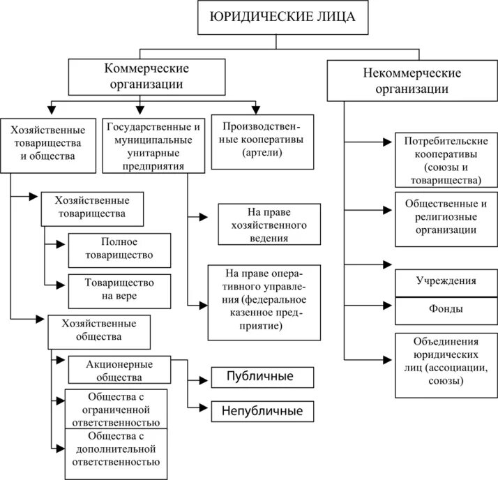 Общество с ограниченной ответственностью некоммерческая организация. Организационно-правовые формы предприятий схема 2019. Схема организация правовые формы юридических лиц. Организационно-правовые формы юридических лиц схема 2019. Организационно правовые формы коммерческих юр лиц.