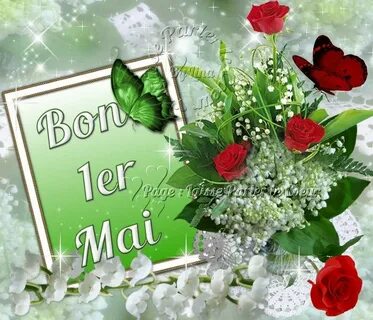 Bon 1