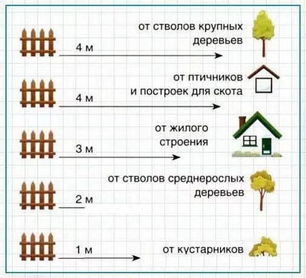 Расстояния от дома до другого дома. Посадка деревьев на участке нормы от забора. Нормы высадки деревьев и кустарников от забора соседа. Нормативы посадки деревьев от забора. Нормы посадки деревьев от забора соседа.