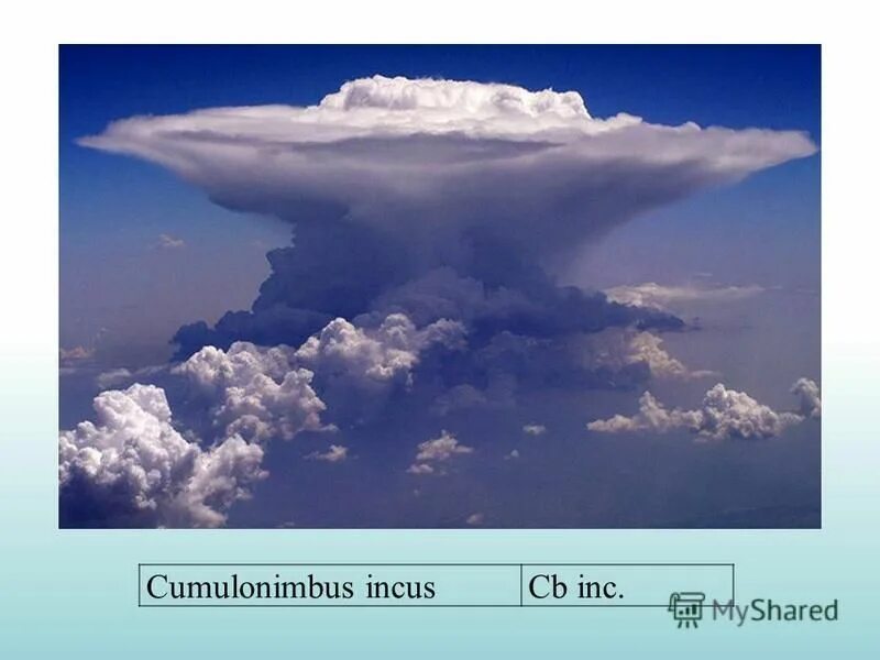 Высота облаков погода. Cumulonimbus capillatus Arcus. Cumulonimbus облака. Облако наковальня. Кучевое облако наковальня.