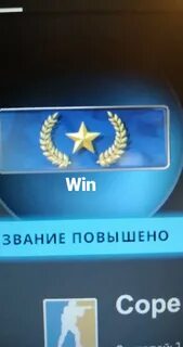 Обновление элит