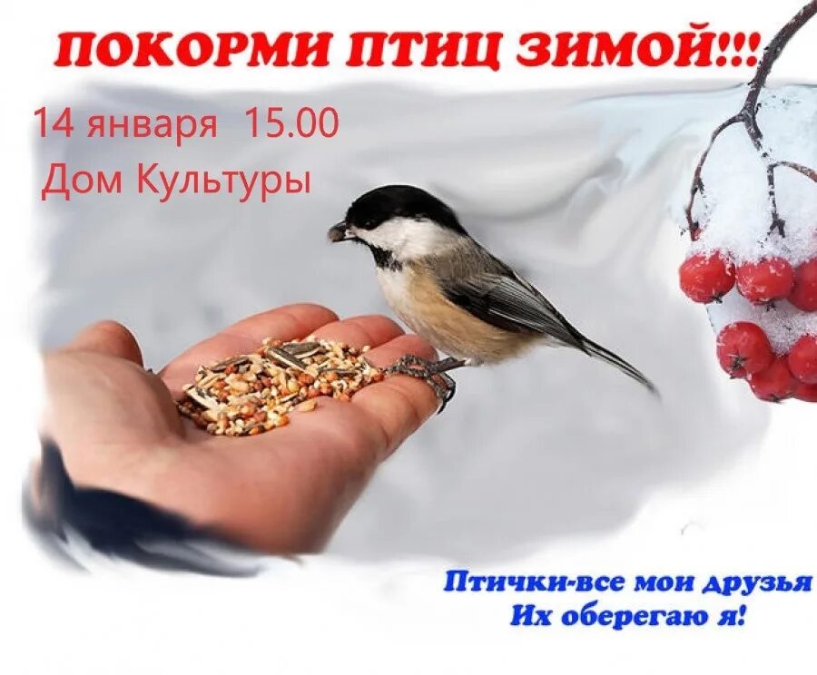 Покорми поскорей. Покорми птиц. акция покормите птиц. покормите зимних птиц. акция покорми птиц зимой.