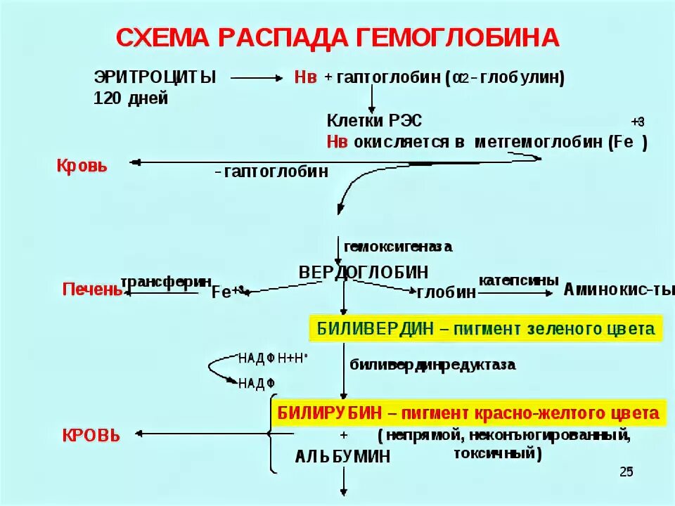 Йод распад