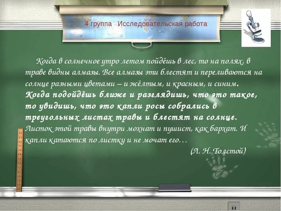 Текст ранним утром в лесу на полях