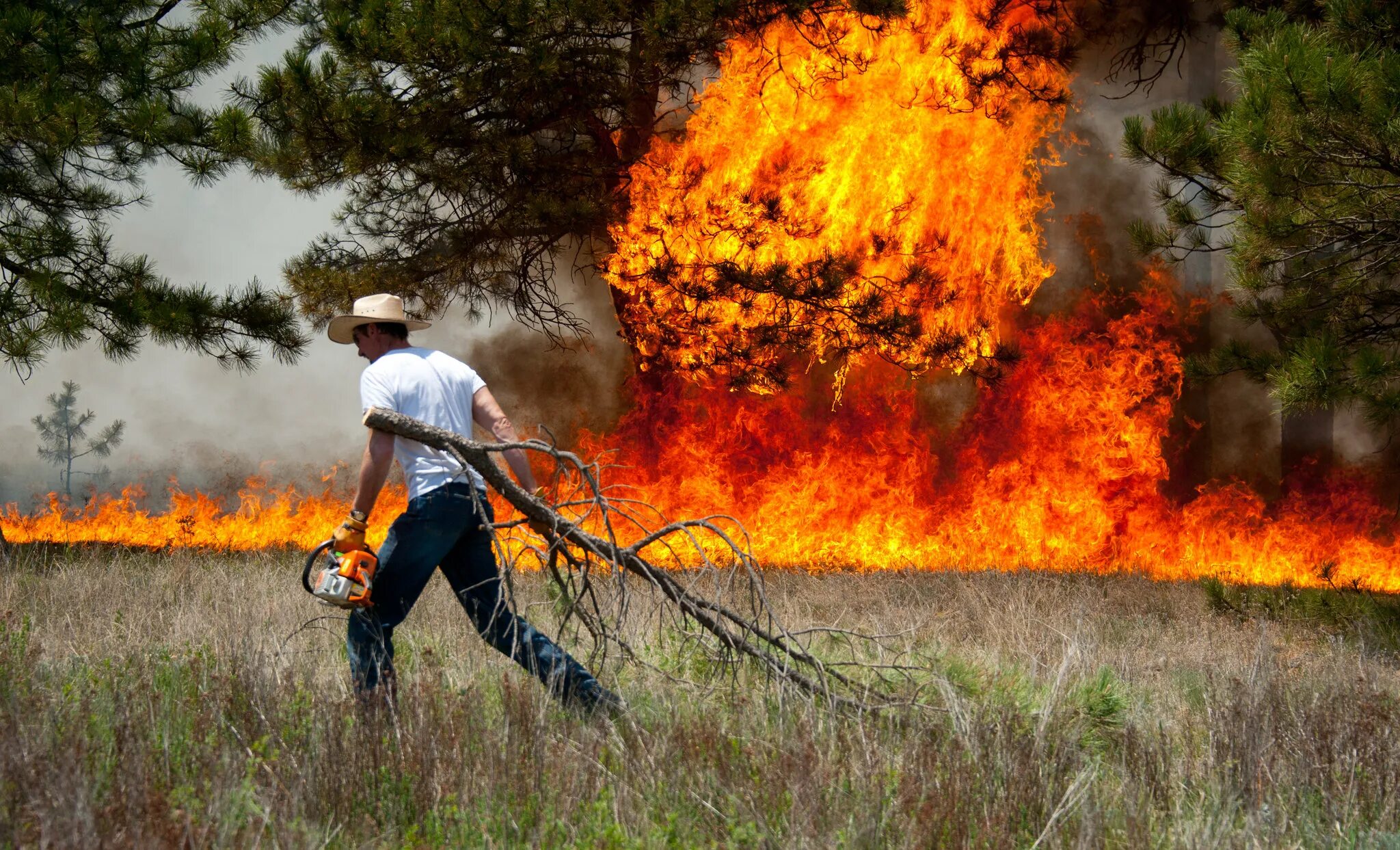 Лесные пожары. Человек в лесном пожаре. Люди спасаются от лесного пожара. Убегать от огня. Пожар в лесу.
