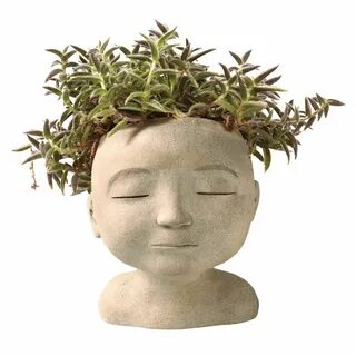 Head plant