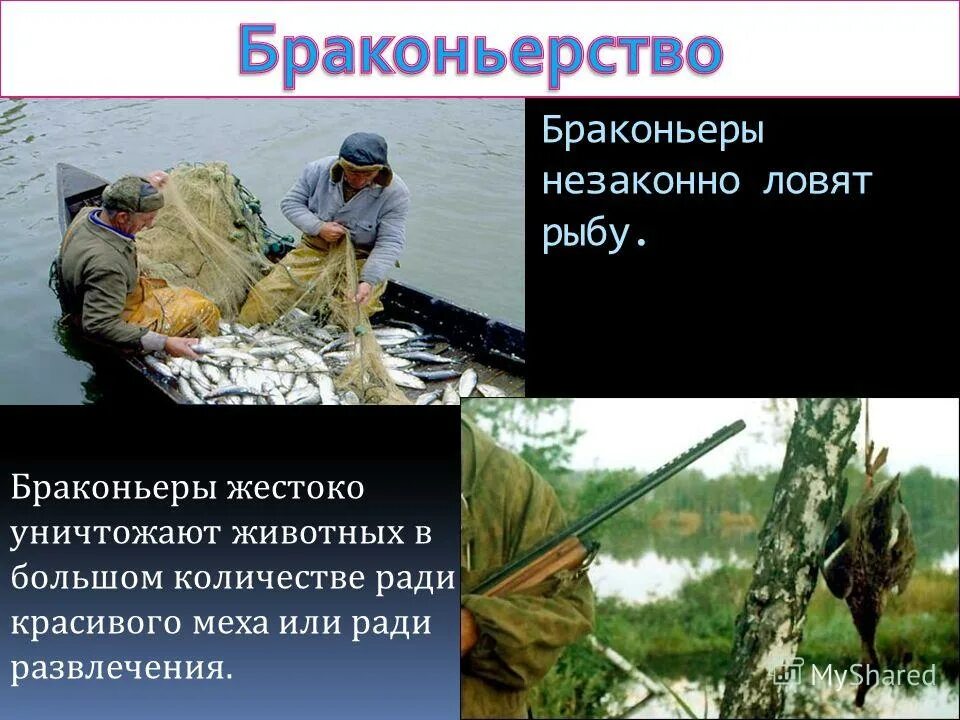 самый худший браконьер