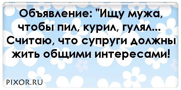 Объявление ищу мужа. Ищу мужа прикол. Объявление ищу мужа прикольные. Ищу мужа статусы смешные. Ищу мужа объявления прикол.