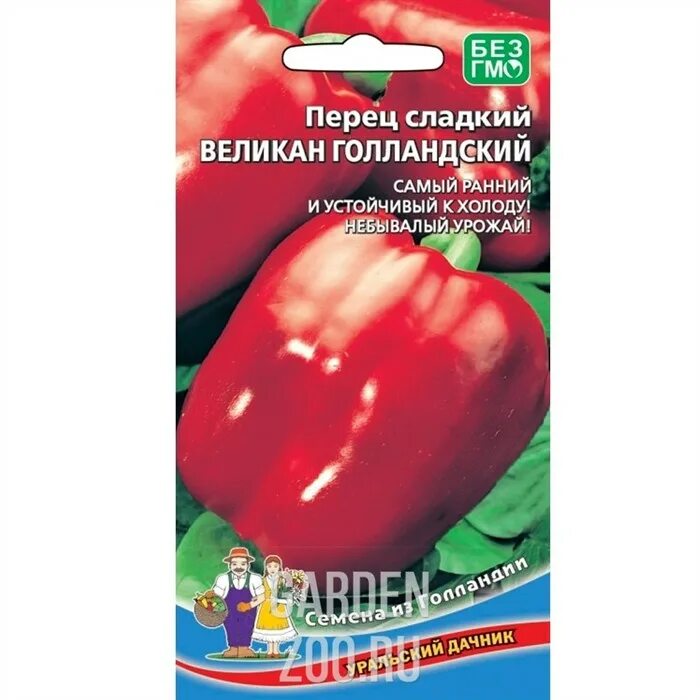 Перец великан голландский описание