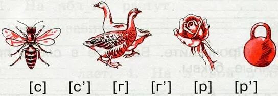 Рассмотрите рисунки и обозначения звуков. Соедините рисунок с тем звуком который слышится в названии предметов. Нарисуй предмет в названии которых слышится звук в согласных. Рассмотрите рисунки назовите звуки.
